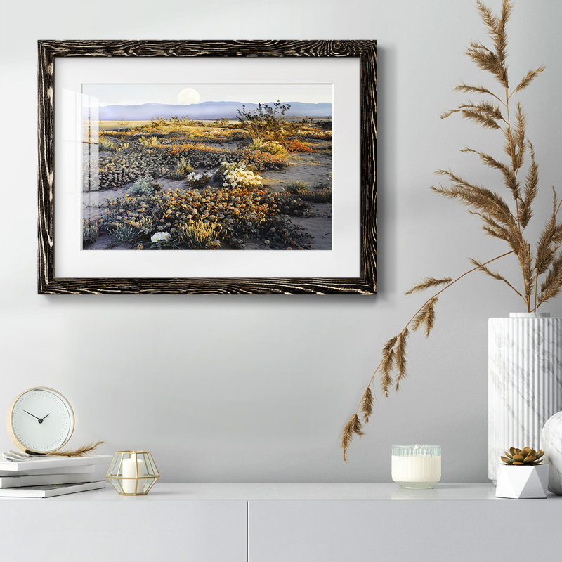 Anza Borrego Desert, reproduction d'art encadrée, Noir, H 22 po x l 32 po x P 1,5 po