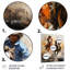Vintage Rodeo Riders Western II - Cowboys, art mural en métal-101153885