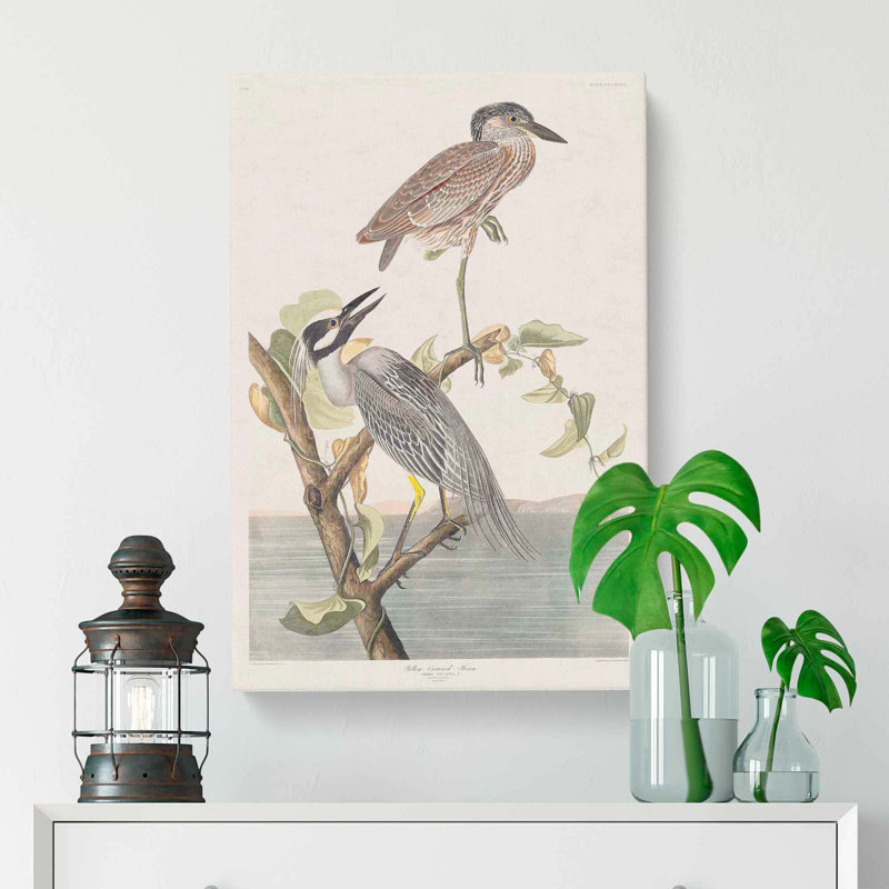 Yellow-Crowned Heron by John Audubon - Wrapped Canvas, 50cm H x 35cm W x 3cm D