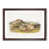 Walnut Framed