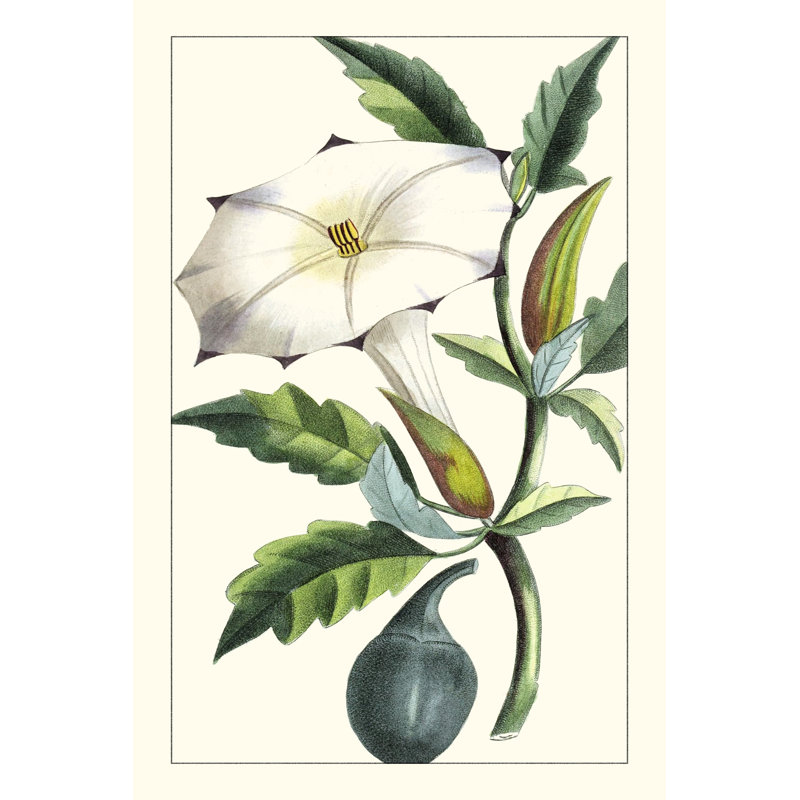 Exotic Botanical I by Turpin - Painting, Wrapped Canvas, 122 cm H x 81 cm W