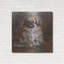 «Tibetan Spaniel 1» par Barbara Keith, art mural en métal-1362488924