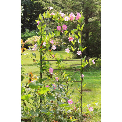 Nil 83.5'' H x 29'' W Iron Arched Trellis