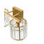 Iron Armed Sconce-649436037