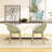 Indoor/Outdoor Lounge Chair Accent Chair (Set Of 2)-114219536
