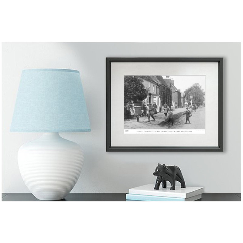 Stansted Mountfitchet, Children With A Pet Monkey 1903 by Francis Frith - Single Picture Frame Print