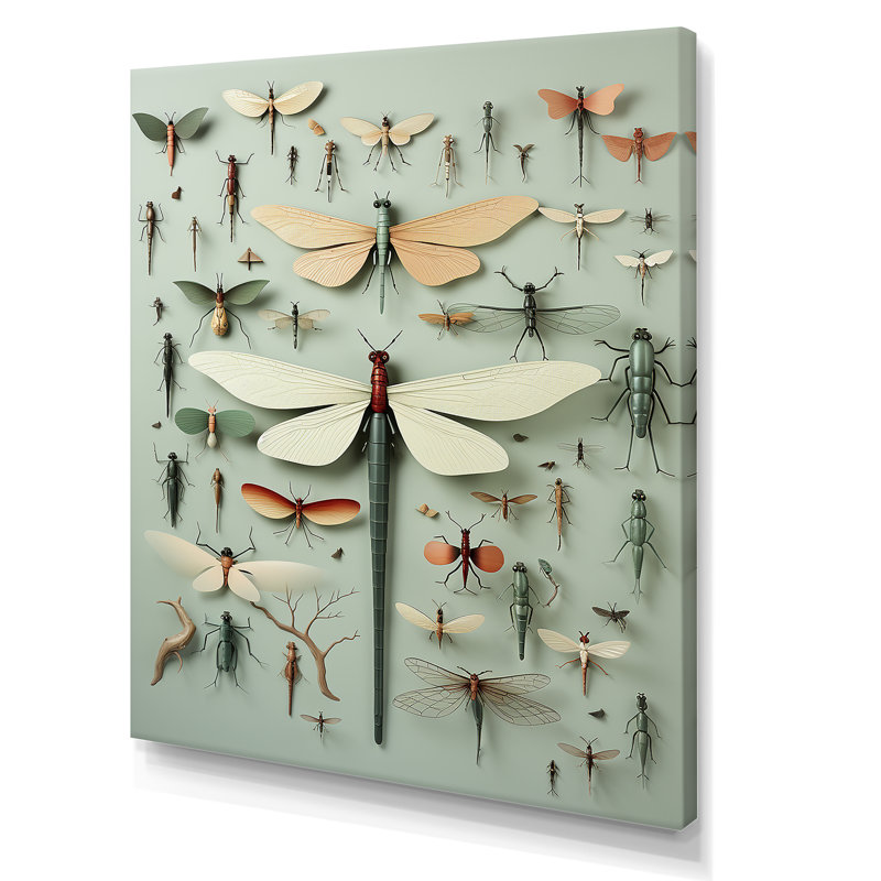 «Curious Dragonflies 1 - Insectes & Bugs», art mural, Toile tendue, H 44 po x l 34 po x P 1,5 po