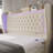 Kaliya Velvet Upholstered Wingback Platform Bed with LED Lights, Wood Bed Frame With 2 Storage Drawers-438663467-438518509