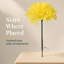 Pot de fleurs en soie-1087967427