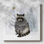 Cozy Woodland Animal IV-673163664