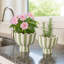 Pot de fleurs et ciment Planters