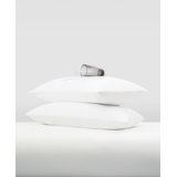 Pillow Protector 2-Pack - Waterproof & Hypoallergenic