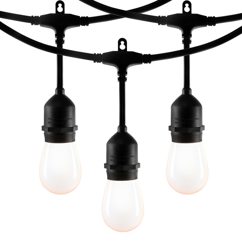 Guirlande de 20 lumières DEL Serkan givrées Edison Serkan