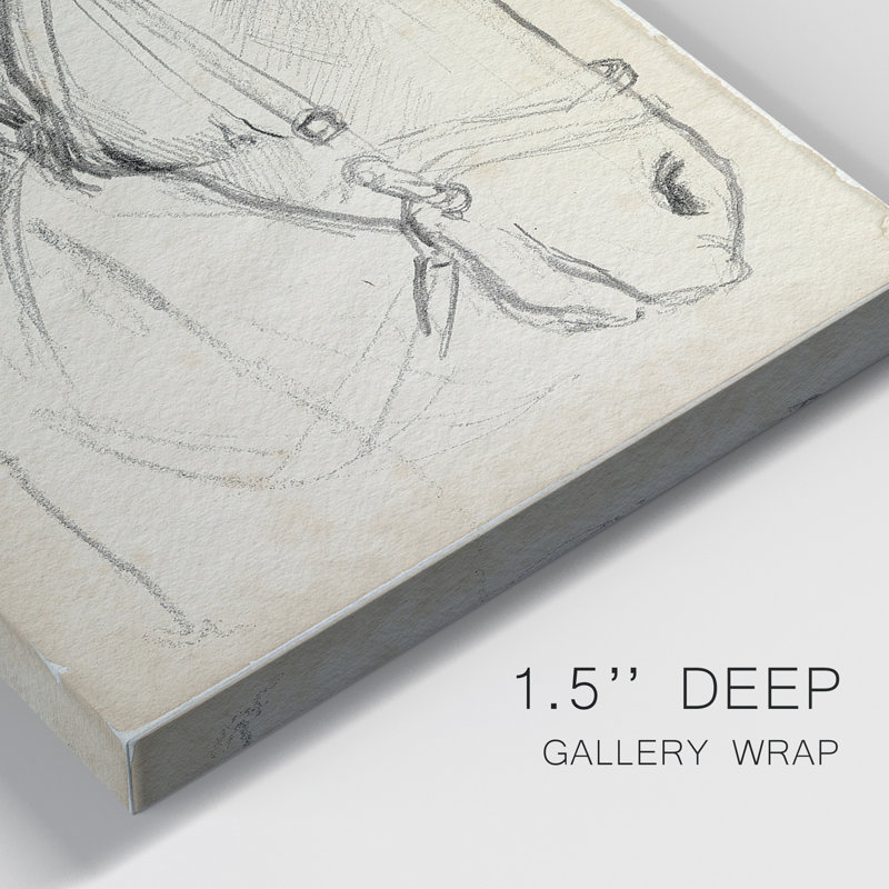 " Horse In Bridle Sketch I " 2 - Pieces, 36" H x 48" W x 1" D