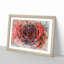 Red Rose in Abstract - Picture Frame Painting Print-55597838-55597835