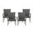 Deniya Patio Chair (Set of 4)