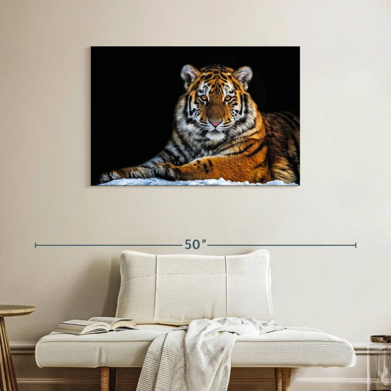 Tigre instantané, H 26 po x l 39 po