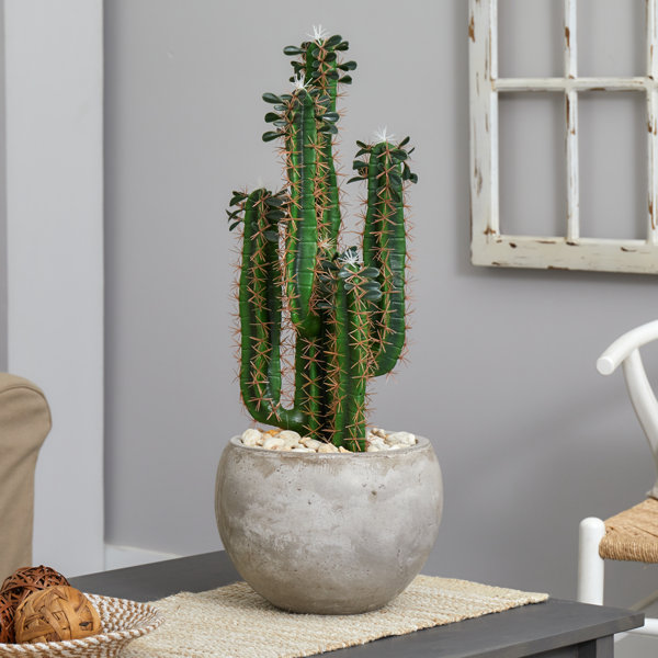 https://assets.wfcdn.com/im/80547916/resize-h600-w600%5Ecompr-r85/2352/235212879/30%27%27+Faux+Cactus+Plant+in+Ceramic+Pot.jpg