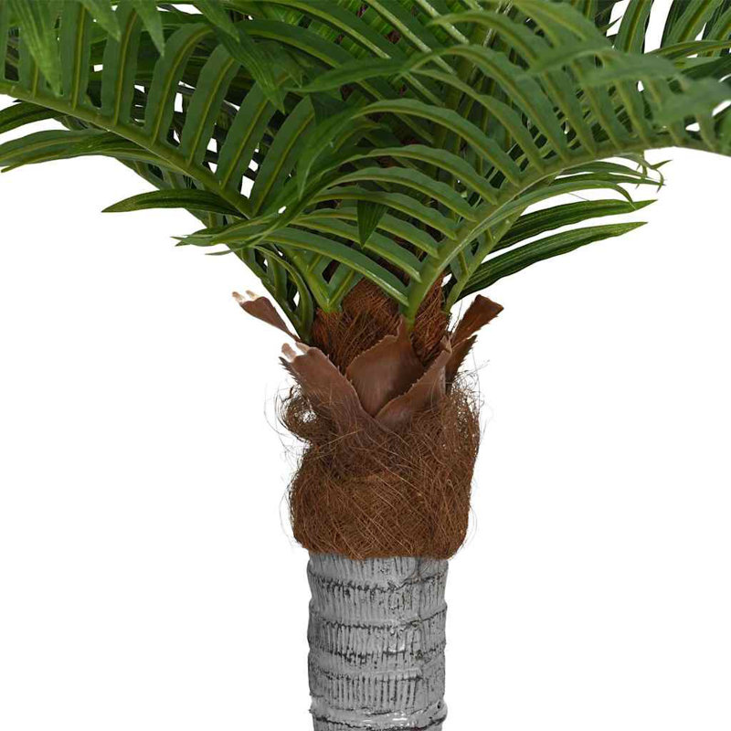 200cm Plant