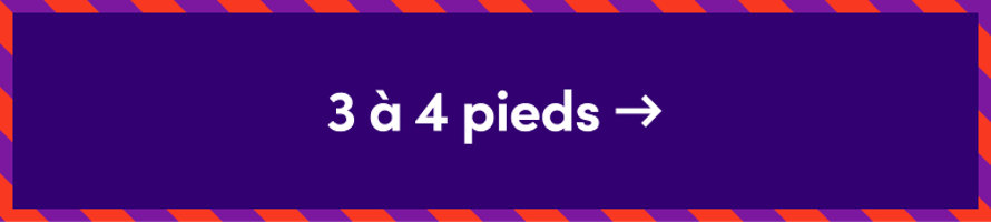 3 à 4 pieds