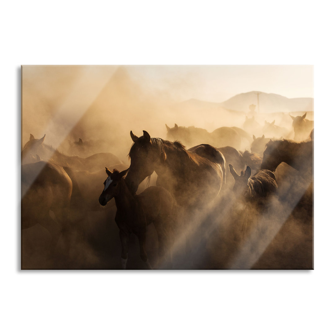 Glasbild Pferdeherde im Staub bei Sonnenuntergang