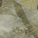 Mahenoor Area Rug with Non-Slip Backing