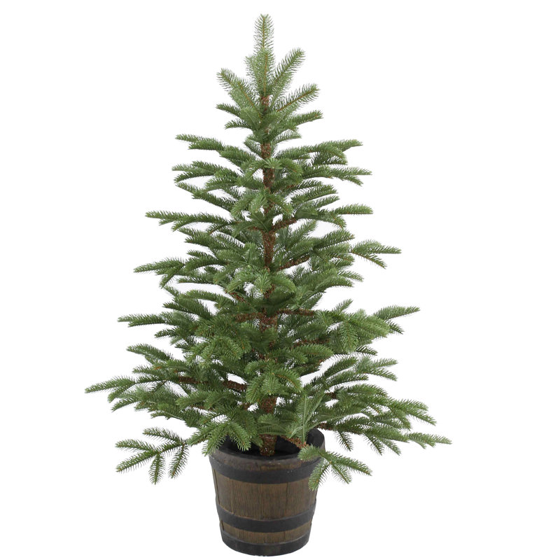 4 ft. Norwegian Spruce Entrance Tree