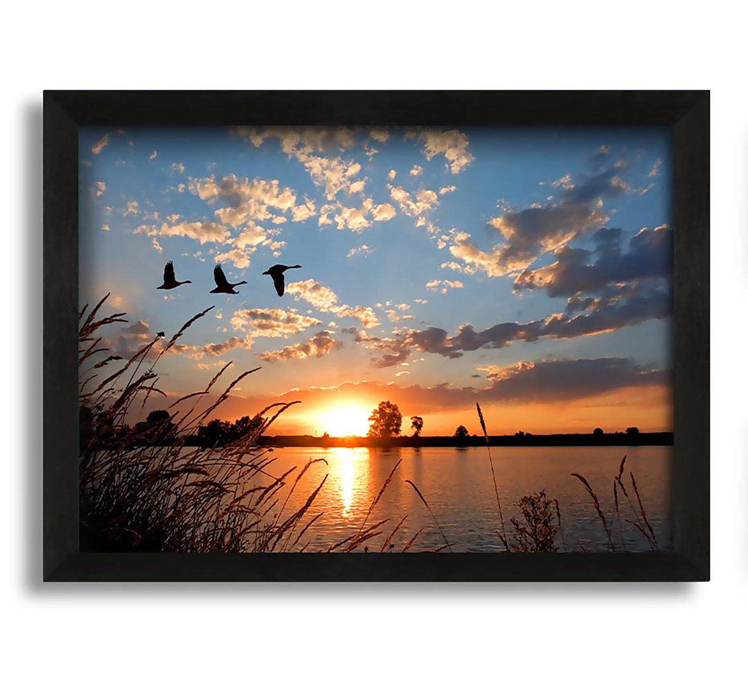 Gerahmter Fotodruck Swans Flying Over The Lake