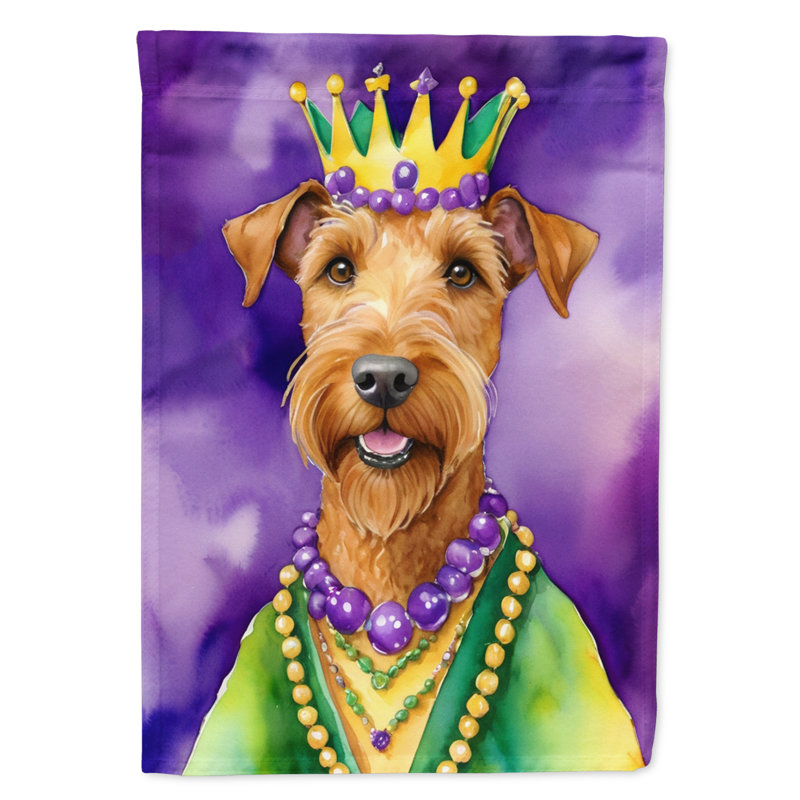 Double Sided 40'' H x 28'' W Polyester Mardi Gras House Flag