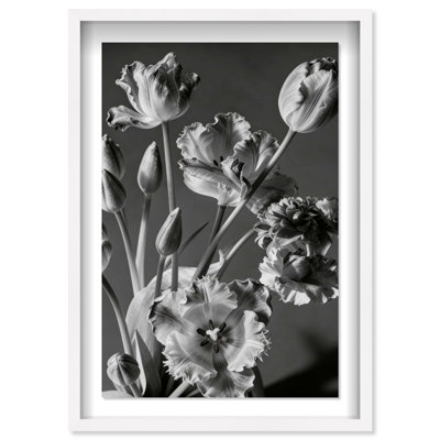 Botanique Noir II Print by Oliver Gal