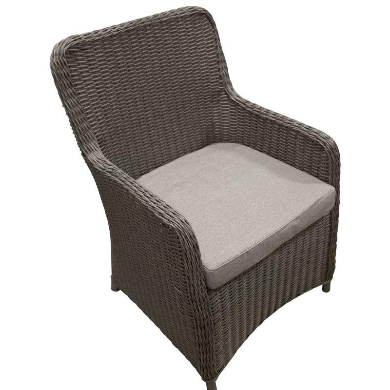 Neerav Outdoor Patio Dining Armchair with Cushion