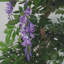 110cm Faux Flowering Tree in Metal Planter-1127337741