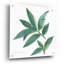 «Bay Leaf» par Chris Paschke-930725815