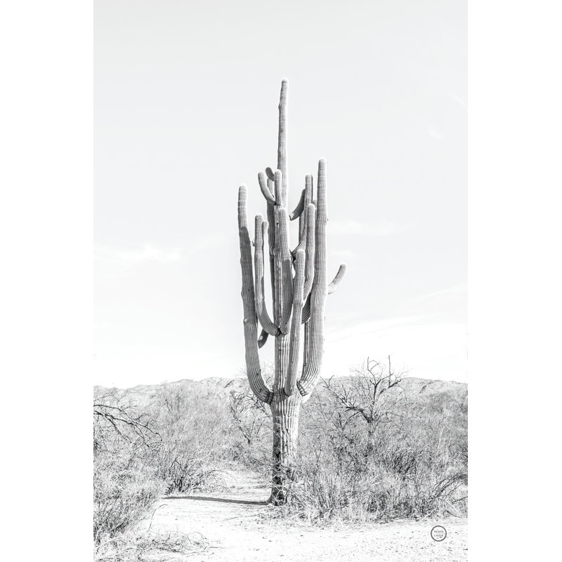Standing Alone by Nathan Larson - Wrapped Canvas Print, 30cm H x 20cm W