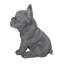 Statue chiot bouledogue français assis