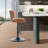 Stella Bar Stools 