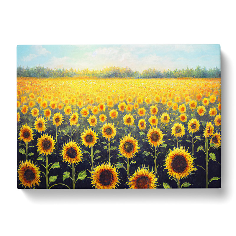A Delightful Sunflower Field - Wrapped Canvas, 35cm H x 50cm W x 3cm D