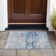 Machine Washable Indoor/Outdoor Meredith ACN2146 Abstract Rug