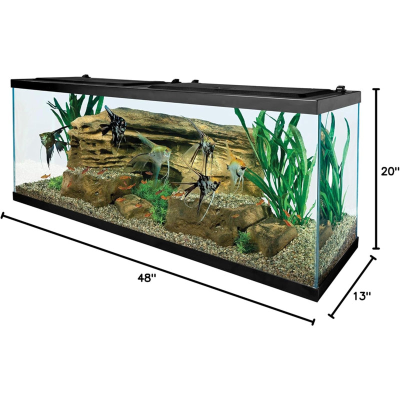 Glass Aquarium, Rectangular Fish Tank, Assorted Colour, 55 Gallon (20" H x 48" W x 13" D)