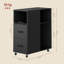 Mobile Filing Cabinet with 2 Drawers, Black, 30x60x70 cm-1278253028
