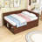 Daybed with Pull-Out Drawers and Shelves-743858462-743858465