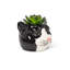 Petit pot à fleurs pour chat tigré-107505596