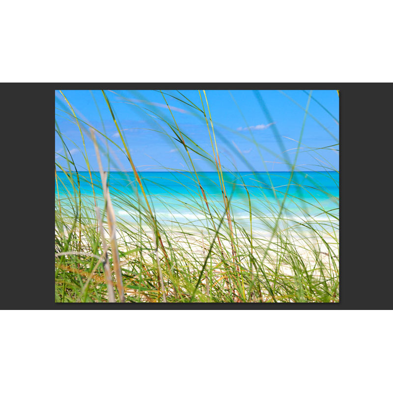 Tropical Journey 2.7m x 450cm Wallpaper, 450 cm x 270 cm