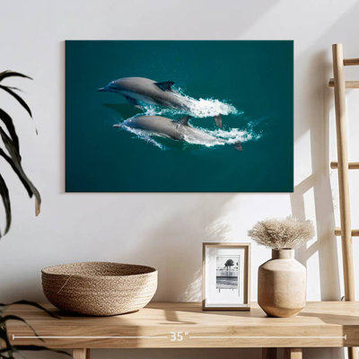 Sea Of Cortes Dolphins