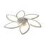 Chantily Ceiling Fan with LED Lights