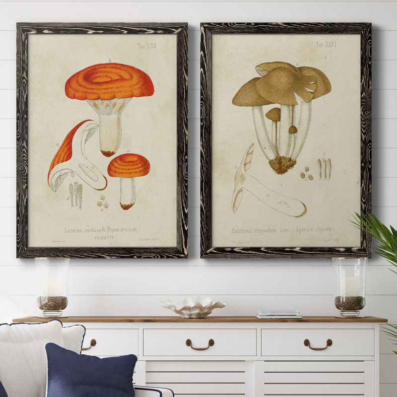 Toile encadrée de qualité supérieure Mushroom Variétés, H 37,5 po x l 55 po x P 1,5 po, Toile avec cadre noir