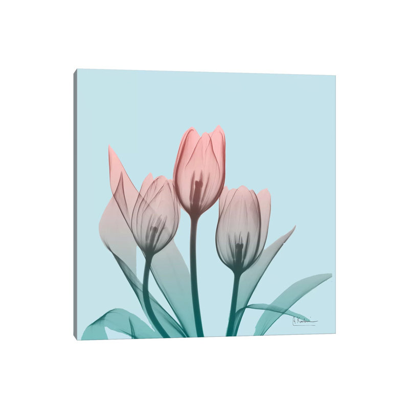 Awakening Tulips II by Albert Koetsier - Wrapped Canvas Print, 30.48 cm H x 30.48 cm W