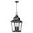 Leachville 14 inch Sand Black 4 Light Outdoor Chain Mount Ceiling Fixture