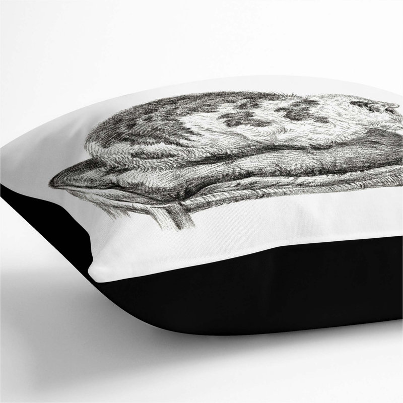 Square Throw Cushion, 55cm H x 55cm W x 20cm D, Black