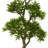 37'' Faux Foliage Tree in Planter-187336081